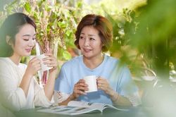 Mẹ chồng mang ra 4 cuốn sổ đỏ và đề nghị con dâu nghỉ việc