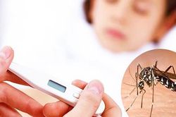 Chuyên gia chỉ rõ 7 biến chứng đáng sợ do sốt xuất huyết gây ra