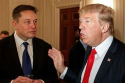 Musk khảo sát việc phục hồi tài khoản Twitter của ông Trump