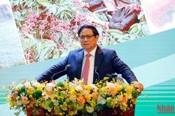Thủ tướng Phạm Minh Chính: Phát triển Tây Nguyên đột phá, bao trùm, toàn diện và bền vững