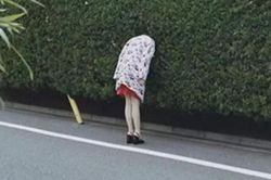 Ngỡ ngàng loạt khoảnh khắc khó tin được 'hội hóng chuyện' chụp lại