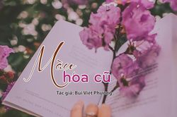 Đọc truyện đêm khuya: Màu hoa cũ