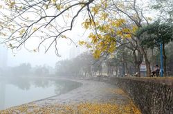 Dự báo thời tiết ngày 22/11/2022: Hà Nội có mưa, nhiều mây, sương mù