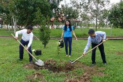 BSR bàn giao và trồng cây xanh tại Mộ Đức và Đức Phổ