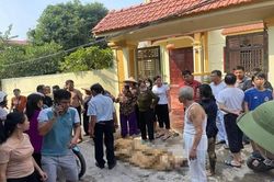 Thừa kế nào bằng sinh mạng mẹ cha