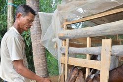 Người Khmer ở Bạc Liêu làm kinh tế tập thể