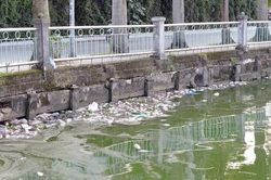 Hà Nội: Sẽ cho người dân đánh bắt để giảm mật độ cá chết ở hồ Tây