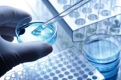 Liệu pháp giúp giảm tác dụng phụ của thuốc trị ung thư