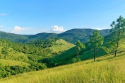Đỉnh Phượng Hoàng (Quảng Ninh): Vẻ đẹp thơ mộng của thiên nhiên