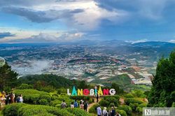 Lâm Đồng: Nhà kính bủa vây 'phủ trắng' Tp.Đà Lạt