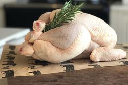 Vi khuẩn Salmonella thường có trong thực phẩm nào và nguy hại ra sao?