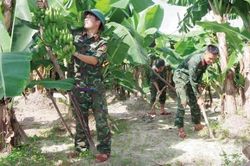 Chính trị - Xã hội An ninh - Quốc Phòng Góp phần bồi dưỡng sức quân