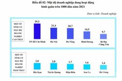 Sách trắng doanh nghiệp Việt Nam 2022 có gì hay?