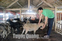 Lâm Bình cải tạo vóc dáng đàn dê