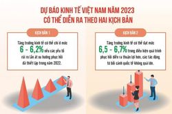 Kỳ vọng lãi suất, tỷ giá sẽ ổn định hơn trong năm tới