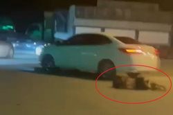 Xác định nguyên nhân tài xế ô tô tông thẳng 2 cô gái khi bị bao vây tại cây xăng