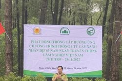 Kinh tế Kinh tế Trồng 1.000 cây xanh tại Phong Điền