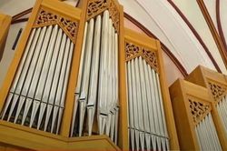 Cận cảnh cây đại quản cầm độc nhất vừa được ra mắt tại Hà Nội