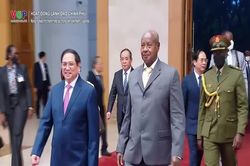 Nông nghiệp trở thành một trong những lĩnh vực hợp tác trọng tâm giữa Việt Nam và Uganda