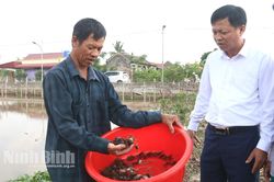 Một giáo dân gương mẫu, làm kinh tế giỏi