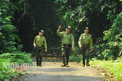 Những người giữ 'lá phổi xanh'
