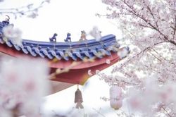 Mỉm cười nhìn gió mưa cuộc đời, lòng sẽ an yên, bình thản
