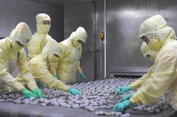 Hiệp định EVFTA: Cơ hội để doanh nghiệp Việt Nam khai thác các thị trường ngách từ EU