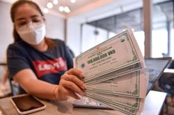 Ứng xử với trái phiếu doanh nghiệp