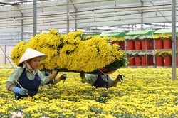 Lâm Đồng không thu hút được dự án FDI mới trong năm 2022
