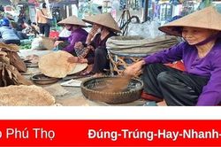 Về miền ký ức