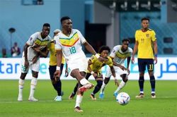 Ecuador vs Senegal: Sao Senegal gây sốt với pha đá 11m cực dị