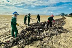 Thu gom hàng chục tấn rác thải đại dương tại bãi biển Vũng Tàu