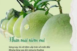 Nhà thơ, nhà báo Nguyễn Hồng Vinh: Bài thơ 'Nhân mãi niềm vui' và 'cái cớ' đáng yêu…