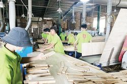 Gỗ ghép thanh tồn kho lớn