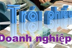 Bộ Tài chính yêu cầu doanh nghiệp phát hành trái phiếu thực hiện đầy đủ trách nhiệm
