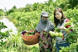 Dịch vụ đầu vào của HTX giúp giảm nghèo bền vững