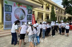 Canon Việt Nam tiếp tục chương trình 'Chung tay hành động vì môi trường'