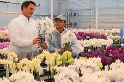 Cuộc sống của Jack Ma sau vụ 'vạ miệng' khiến Alibaba gặp hạn