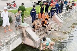 Tìm thấy thi thể bé trai sau gần 3 giờ mất tích ở công viên Thống Nhất, Hà Nội
