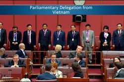 Chủ tịch QH dự thính phiên chất vấn ở Thượng viện và Hạ viện Australia