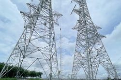 Gỡ vướng mặt bằng 2 dự án truyền tải tại Phú Thọ: Nhiều kiến nghị cụ thể