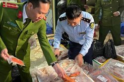 Thu giữ hơn 1 tấn ức vịt và cánh gà đông lạnh không rõ nguồn gốc