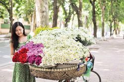 Phố Phan Đình Phùng