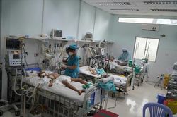 Tp.Hồ Chí Minh: Ghi nhận 77 ổ dịch sốt xuất huyết mới phát sinh
