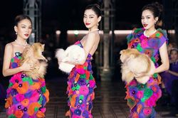 Lương Thùy Linh, Đỗ Thị Hà bế mèo catwalk