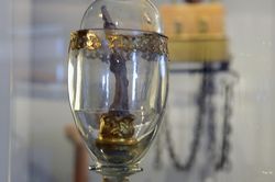 Ngón tay giữa trong viện bảo tàng của Galileo