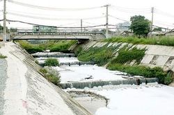 Tăng cường giải pháp kiểm soát ô nhiễm kênh Ba Bò