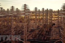 Australia bắt đầu xây dựng kính thiên văn vô tuyến quan trọng