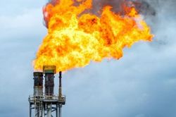 Giá gas hôm nay 5/12: Phiên đầu tuần giá gas lao dốc không phanh