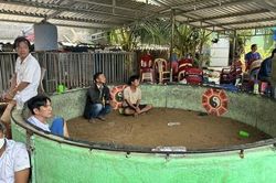 Đột kích trường gà lớn 'ẩn mình' trong hẻm sâu, khống chế gần 70 đối tượng